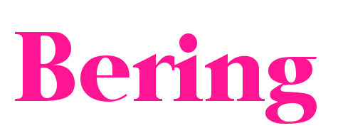Bering預(yù)覽圖片