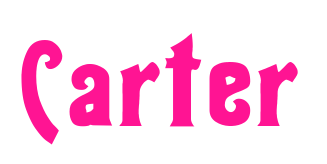 Carter預(yù)覽圖片