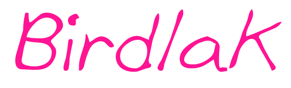 Birdlak預(yù)覽圖片