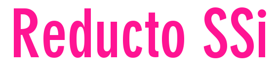 Reducto SSi預(yù)覽圖片