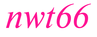 nwt66預覽圖片