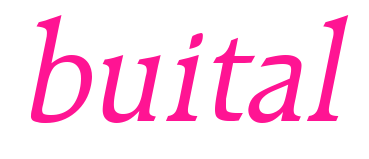 buital預(yù)覽圖片