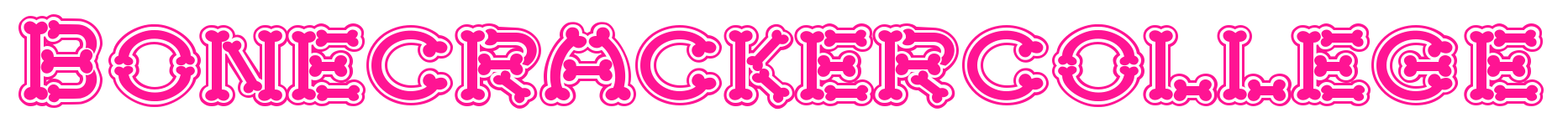 Bonecracker college預(yù)覽圖片