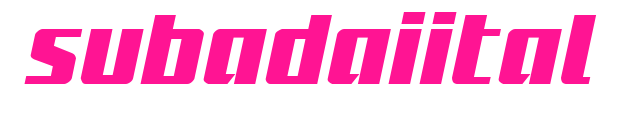 subadaiital預(yù)覽圖片