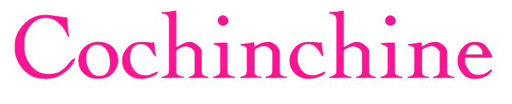 Cochinchine預(yù)覽圖片