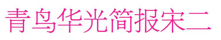 青鳥(niǎo)華光簡(jiǎn)報(bào)宋二