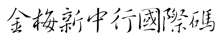 金梅新中行國(guó)際碼