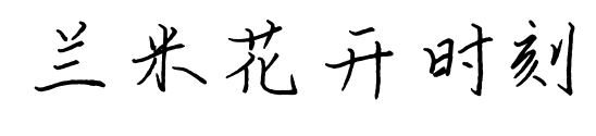 蘭米花開時刻