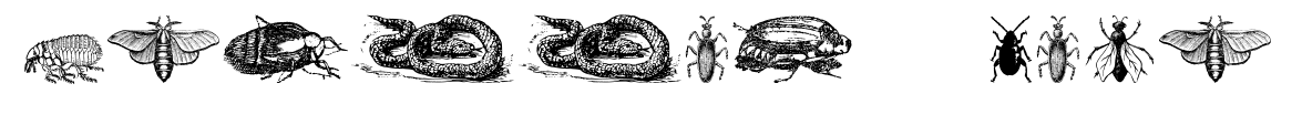 Grissom Four預覽圖片